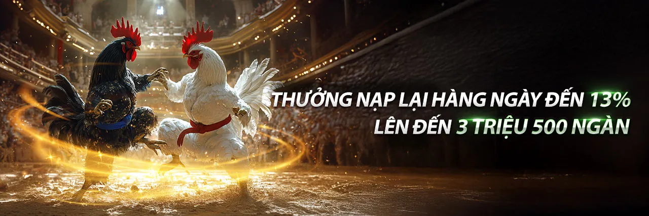 Đấu trường đá gà trực tuyến Hz88 sôi động